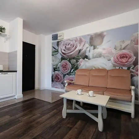 Apartment Perla Sudului - *