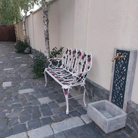 Perla Sudului - טימישוארה