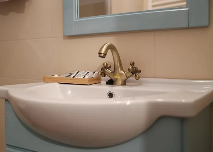 Perla Sudului - * Timisoara