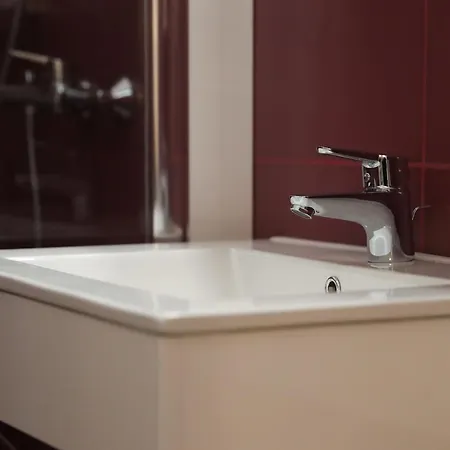 Perla Sudului - Temeşvar